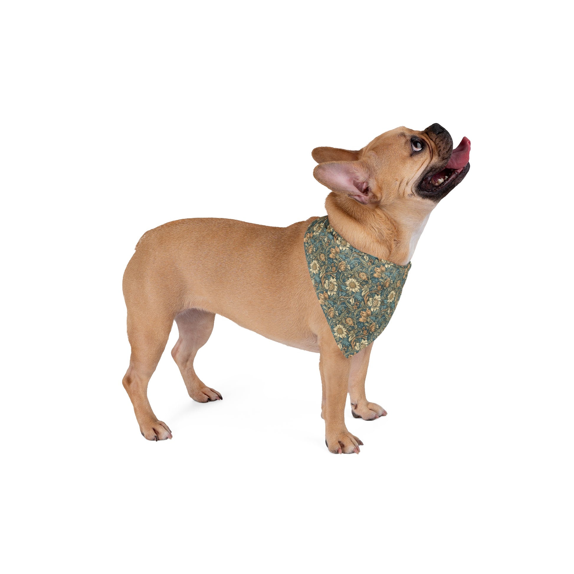 Embrace a touch of classic elegance with our Foliage Elegance Dog Bandana/Wild Rag. The William Morris style pattern in shades of denim and sand adds a timeless and sophisticated look. Crafted from soft-spun polyester, this wild rag ensures comfort and style. Also available for humans, exclusively at Eliza Singer.