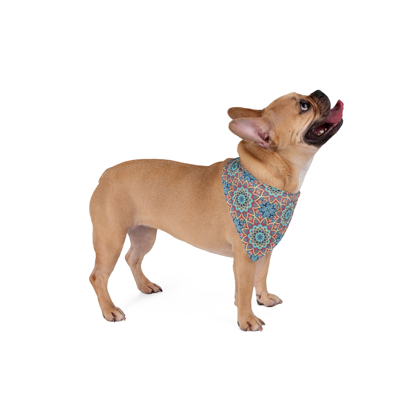 Introducing our Colorful Mandala Dog Bandana/Wild Rag, a vibrant blend of western aesthetics and intricate mandala art. Featuring shades of blue, red, turquoise, and yellow, this exclusive design is sure to make your pup stand out. Crafted from soft-spun polyester, this wild rag ensures comfort and durability. Exclusively available at Eliza Singer, your dog's style just got an upgrade.